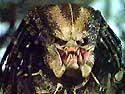 Predator vs Personne