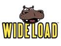 Nouveau studio : Wideload Games