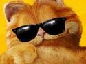 Nouveau jeu : Garfield