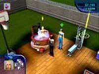 The Sims
