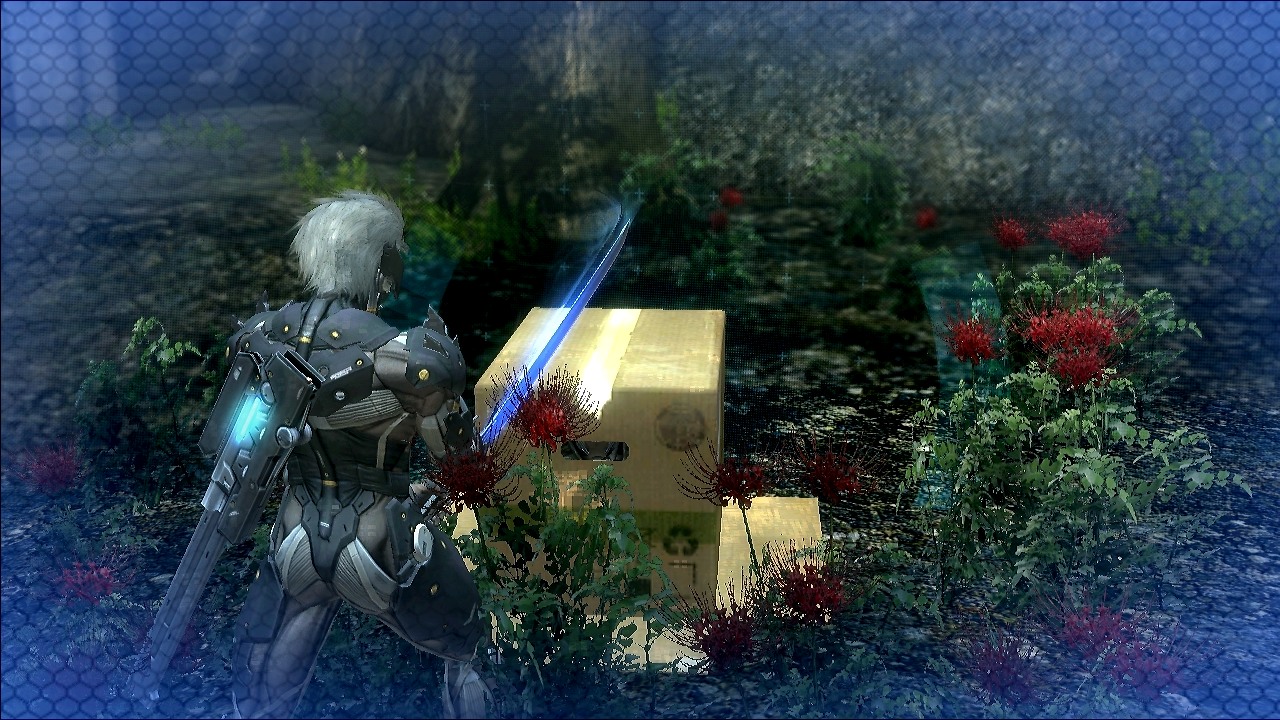 Jeu : Metal Gear Rising : Revengeance - Multi