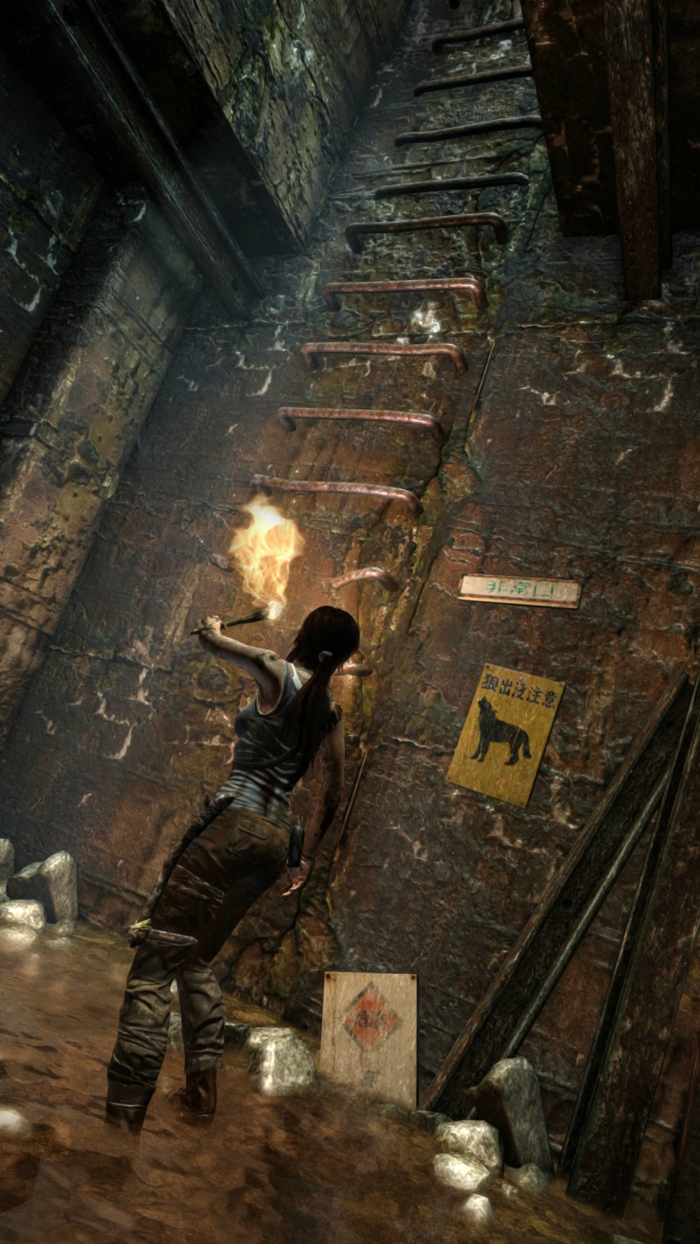 Jeu : Tomb Raider - Multi