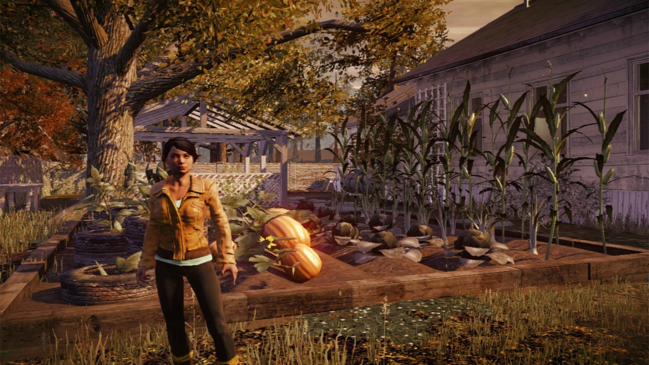 Jeu : State of Decay - Multi