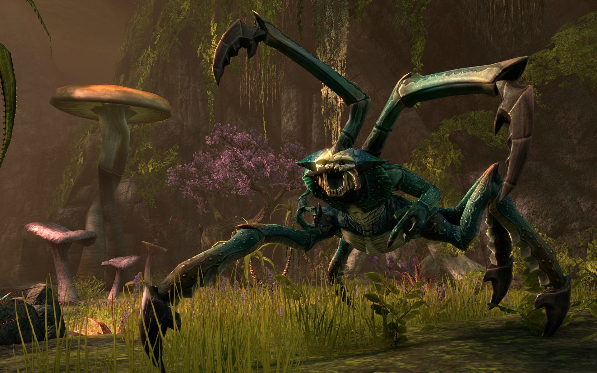 Jeu : The Elder Scrolls Online - Multi