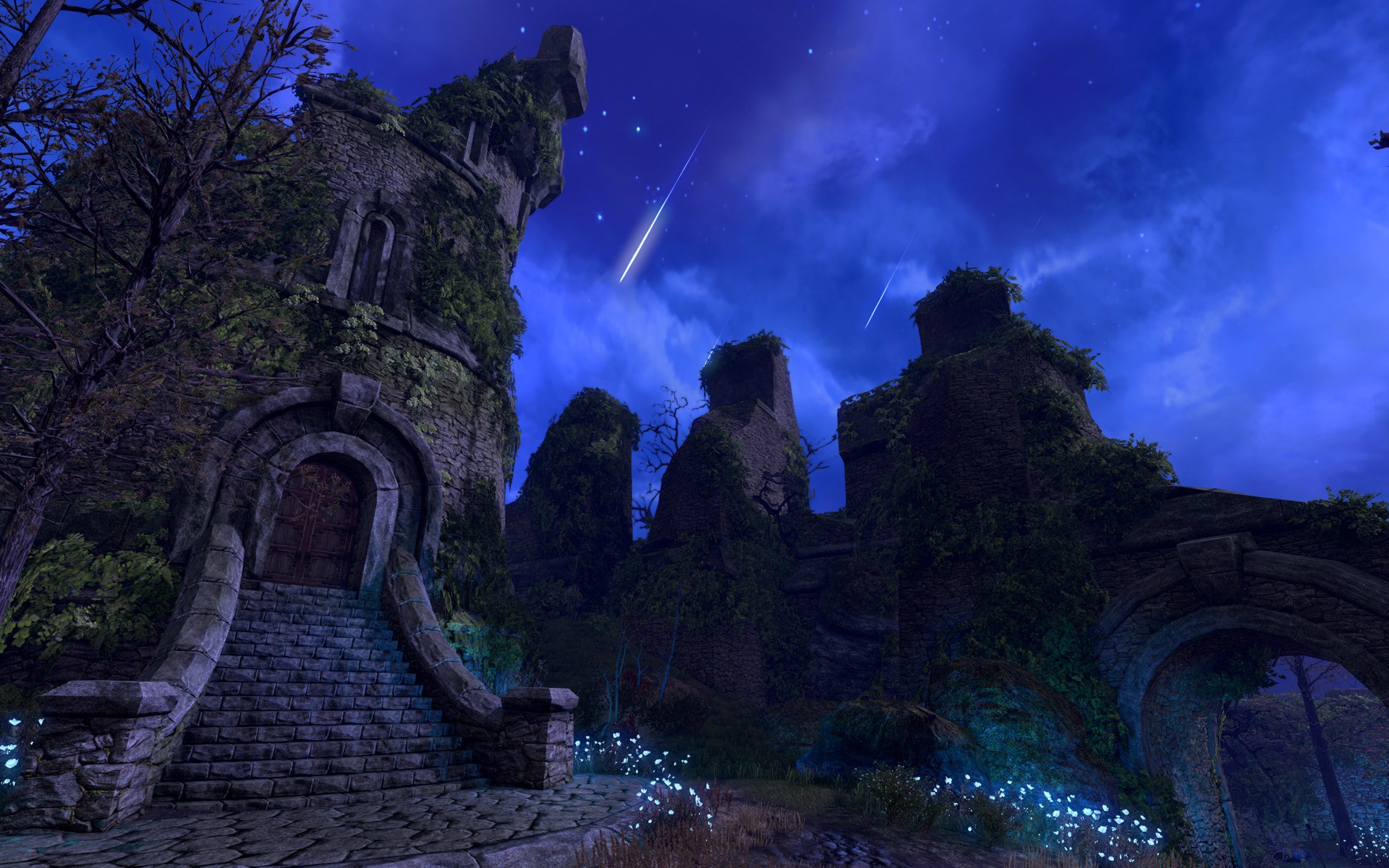 Jeu : The Elder Scrolls Online - Multi
