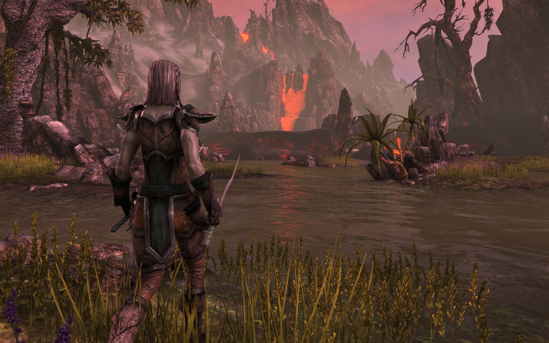 Jeu : The Elder Scrolls Online - Multi