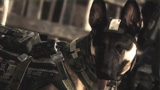 COD Operation Woof : un moteur pas si nouveau que ça