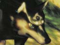 Le crépuscule de Zelda devient lumineux