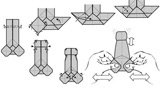 Natural born origami killer