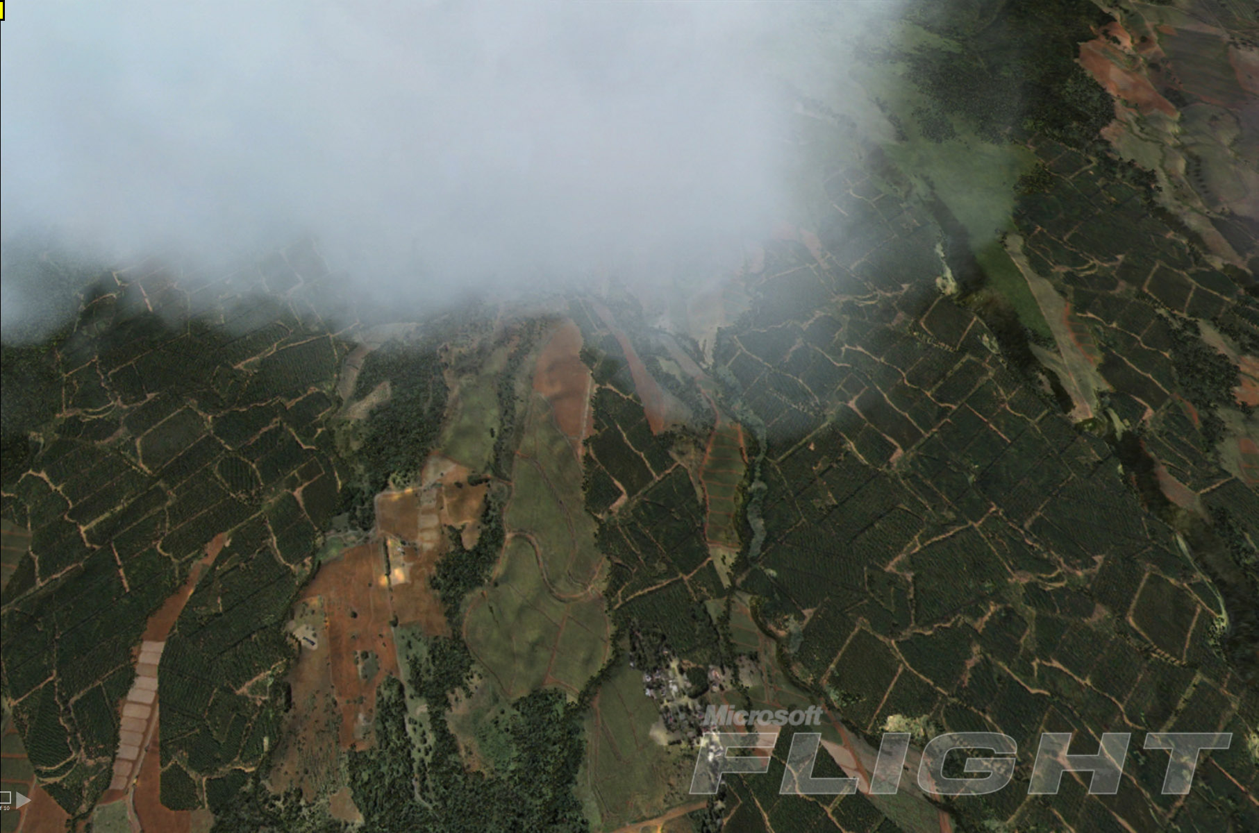 Jeu : Microsoft Flight - Multi