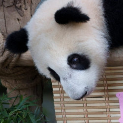 Les news du 06 Septembre 2024