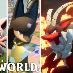 Les news du 20 Septembre 2024