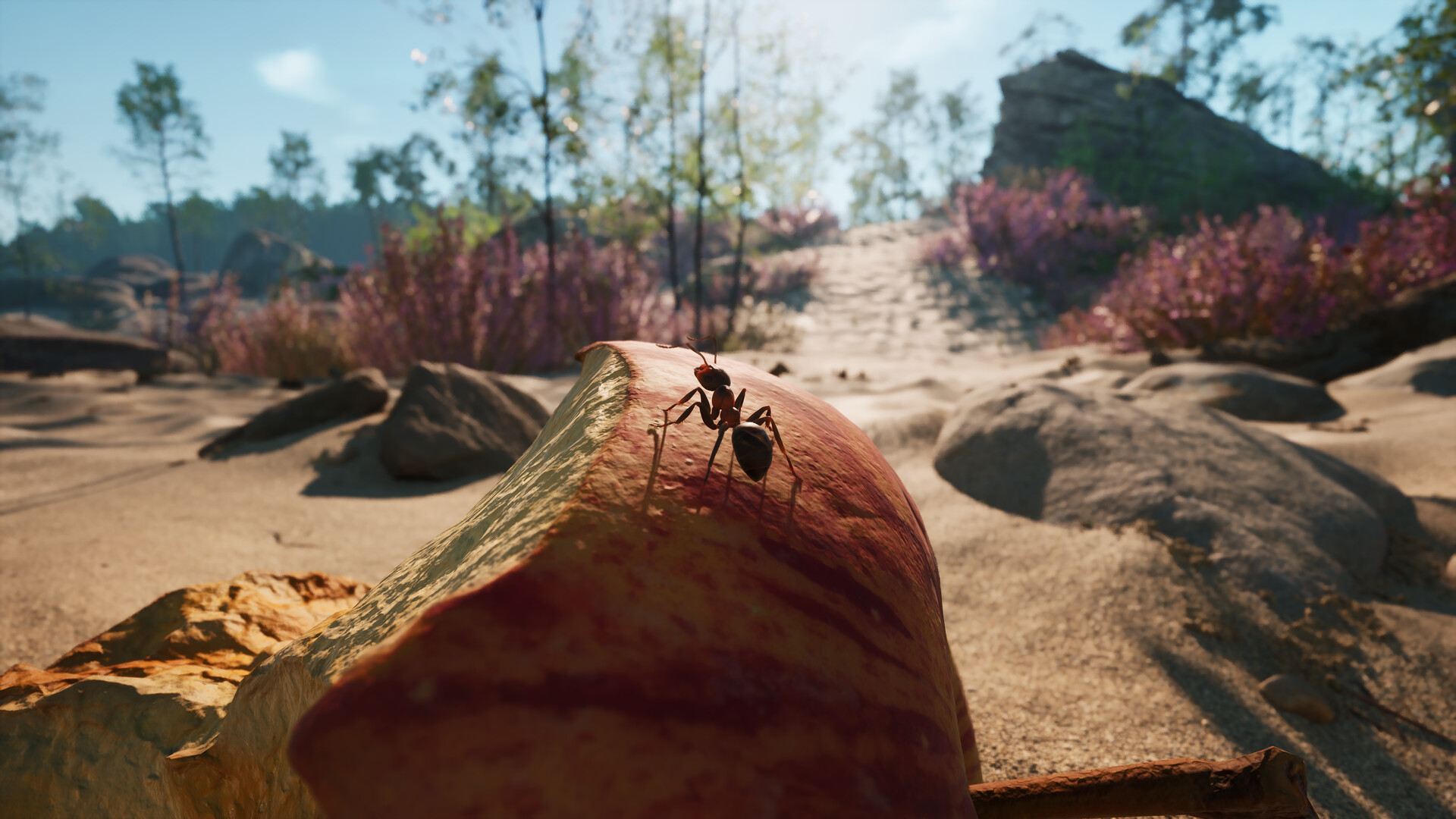 Les Fourmis sortiront de leur colonie le 7 novembre 2024 PC, Microids, Steam, PS5, Epic Games